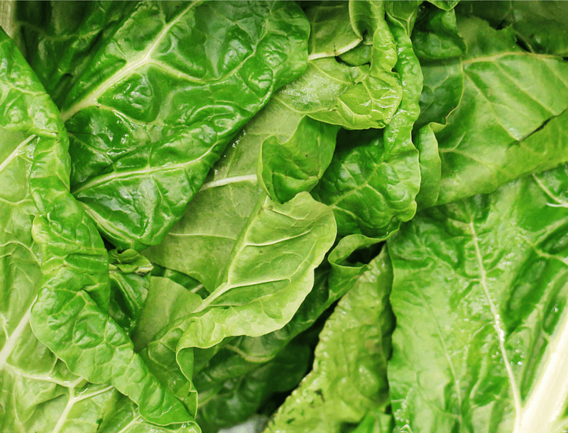 The Magic Of Magnesium