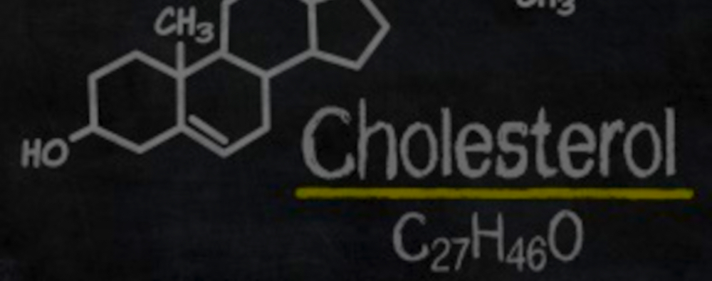 The Myth of Lowering Cholesterol